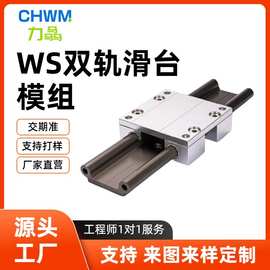 工厂定制WS精密双轴心直线导轨定制WJ200UM 3D打印机滑台模组定制