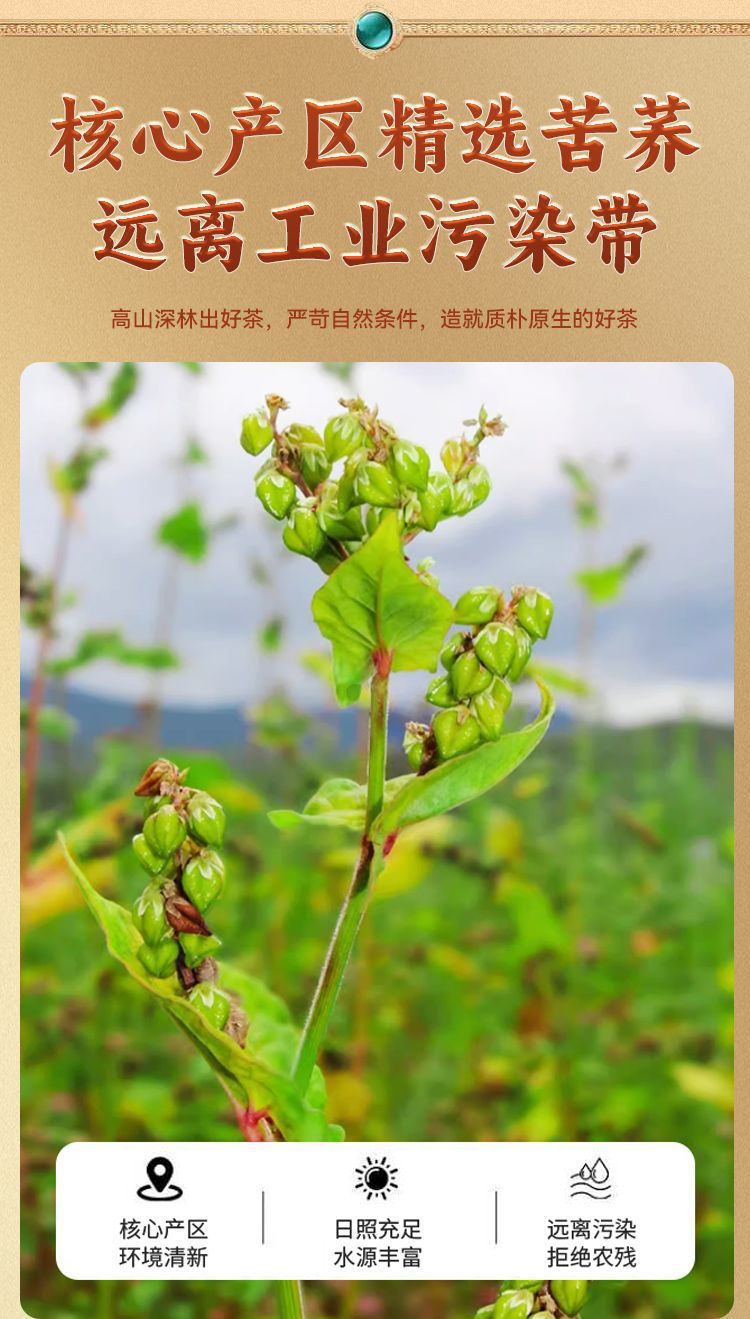 3530d2ec-fe63-4ee1-a284-55d3c0d4404b.jpe