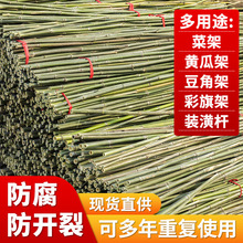 ��U�ˈ@������ӑ��ⶹ���S�����t��֧�ܗU�߲˹Ϲ�����������U