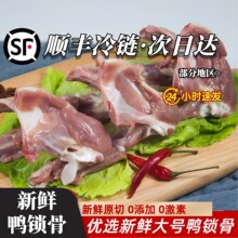 ���r���i��������i����؛����uζʳ�����������i�������u��ʳ��