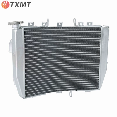 Daniel ZX10R ZX-10R 04-05: Water tank