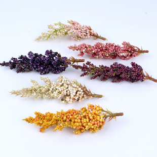 ���R�d���滨��ĭ޹�²���������JȔС���»�c�����ٻ���c�Ĕz