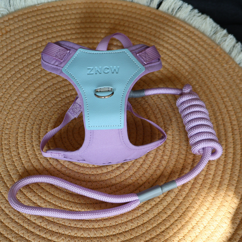 Schmutzabweisende Hundeleine, verstellbares Geschirr für kleine und mittlere Größen, atmungsaktives Seil, Weste für den Außenbereich_voghion.com