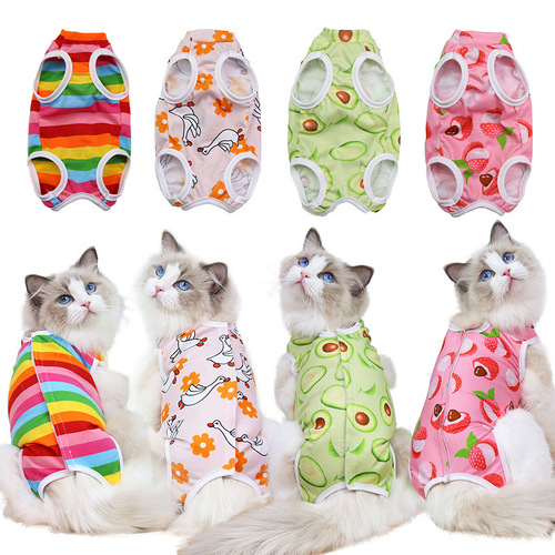 Cat spay surgery postoperative fruit series four seasons pet clothing supplies for small and medium dogs all-inclusive