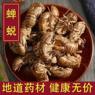 �s͑ ��ș�����l ���s�� ���s�� �sƤƷ�N�Rȫ �o�s�oѬ �н�ӆ��