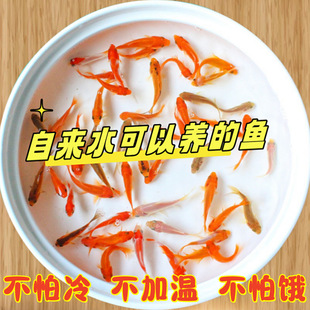 �^�p�~�ݽ��~���w�\�����~�\�aС�\�������t�\���^��ˮ�~����~