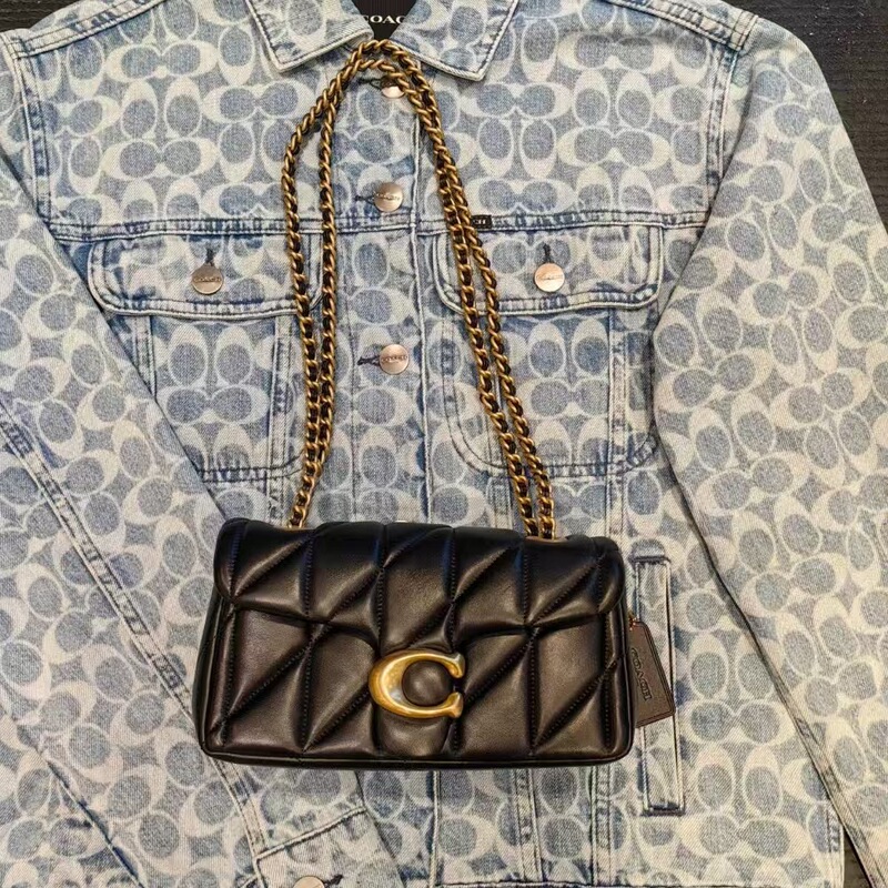 Kouchi C's new quilted chain tabby Dionysus bag, quilted flap shoulder bag for women, crossbody handbag, cloud bag Kouchi C's new quilted chain tabby Dionysus bag, quilted flap shoulder bag for women, crossbody handbag, cloud bag