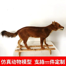 生物教学器材;教学演示用品;医药教学器材