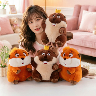 ��ͨ����׃��Ӌ����߅ë�q��߆��·���÷��������ż��Ů�ı����^