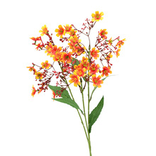 ����3�������֦����@�L����С���Ҿӿ��g�b�c�廨�zӰ����