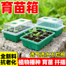 �������̖���w48��24���߲˴�ѿ���ؐa��Ǥ���貥�N���B�в�Ѩ�P