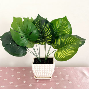 �����~������~���l����ֲ���쾰ֲ��b��^�z���~�ӷ��������~