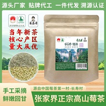 新茶茶叶三角包花茶代加工袋泡花草茶批发陈皮茉莉莓茶厂家