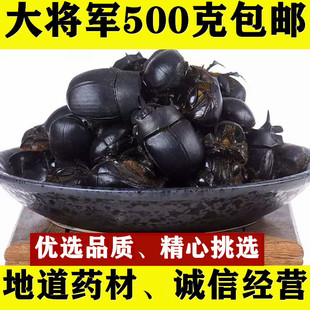 ��Ȼ��܊ �����x ʺ�� ˮϴ��ֻ��܊500�˰��]��؛��؛��؛