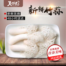 【新鲜竹荪】时令鲜菌 云南丽江炖汤佳品 煲汤火锅食材