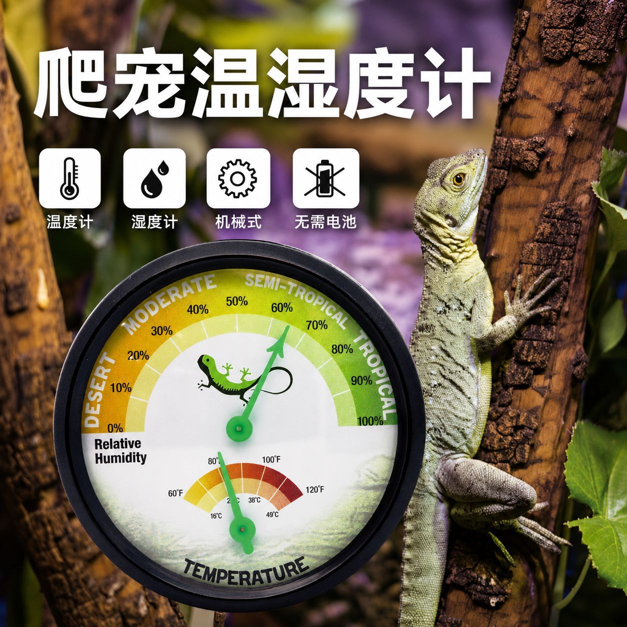 Mechanical thermo hygrometer