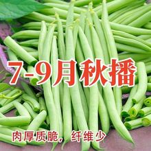 tļN߮atܶ͟ͺٟoNZ