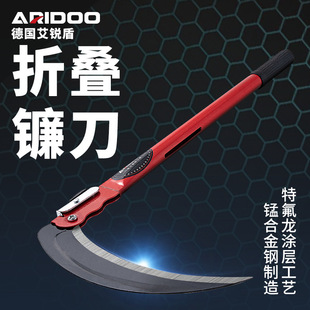 �����r���i�砵����ݹ��߼��ø�ݵ��r�������ո����L����砵�