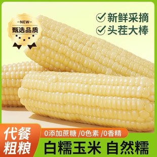 ���ڰ�Ŵ��������b���|ܛŴճ���ז|���^���Ŵ��������ּZ����