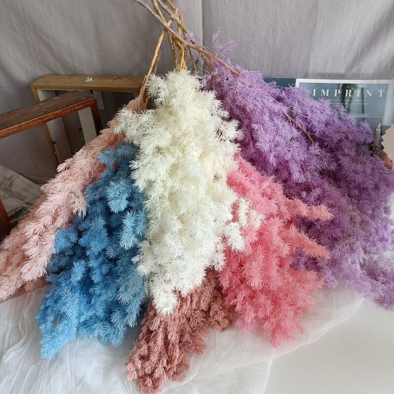 永遠のドライフラワー蓬莱松プリザーブドフラワー diy 花束手作り素材ギフト花素材結婚式ホームフラワーアレンジメント装飾|undefined
