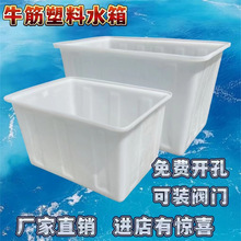 加厚牛筋水箱塑料水箱长方形水产养殖箱卖鱼养鱼箱牛筋盆大储水桶