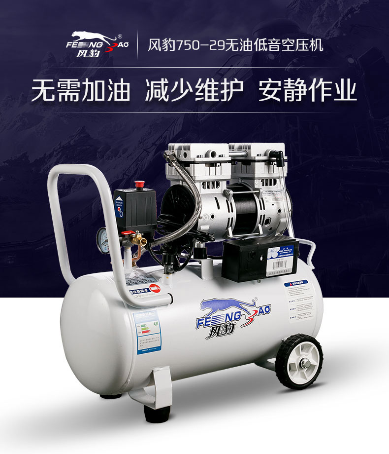 Fengbao Air Compressor Decoration Woodworking Oil-Free Bass Air Compressor 220V Pneumatic High Pressure Small Household Air Pump