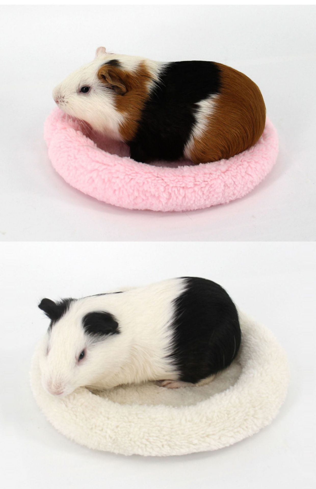 Cute Pet Mat
