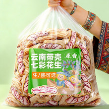 滇品客农科院云南七彩花生新鲜晒干水果花生原味坚果带壳炒货袋装