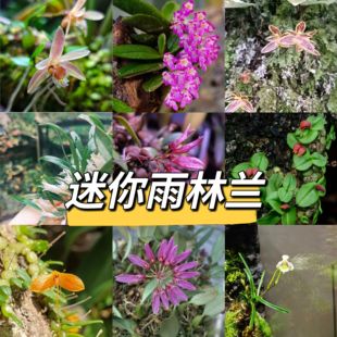 �����m���ָ� ˮꑸ� �����m�쾰�A�~�״��mֲ��