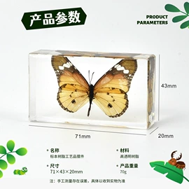 树脂工艺品;标本;工艺礼品项目