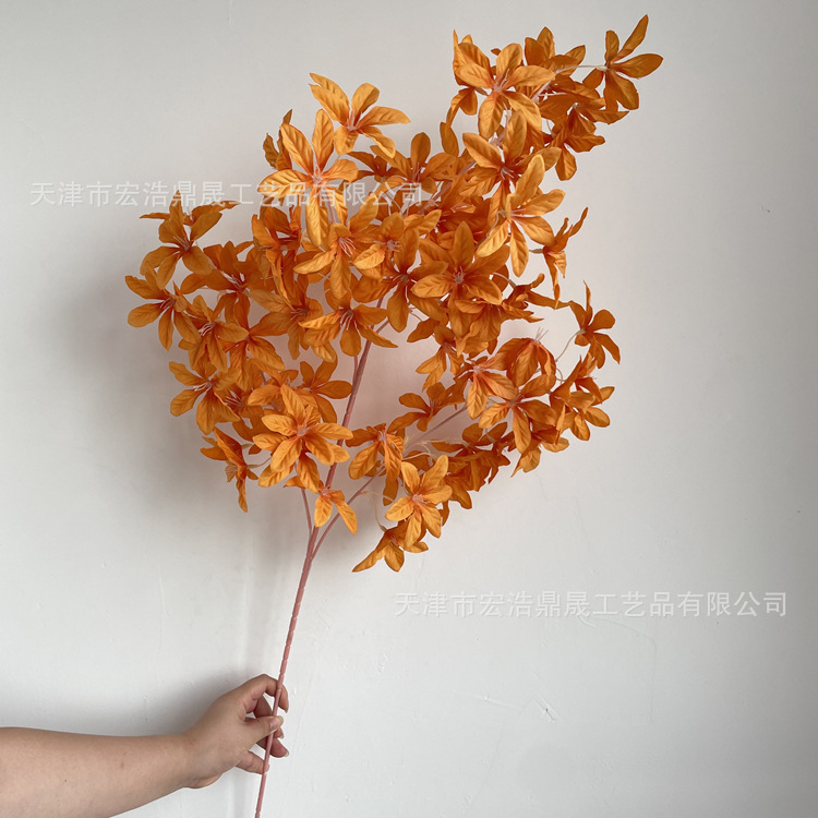 微信图片_20220819162436_副本