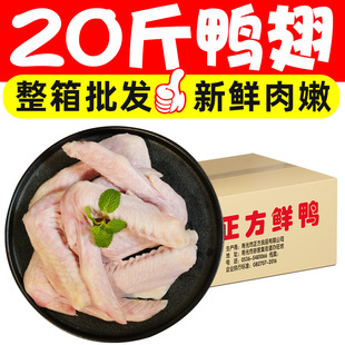 20�����r��̖������������������r���������؛���r�uζ�������l