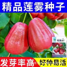 ɏ�F�ڽ����N���ļ����N�̨����СԺ�Nֲ���θ߮aˮ���N��