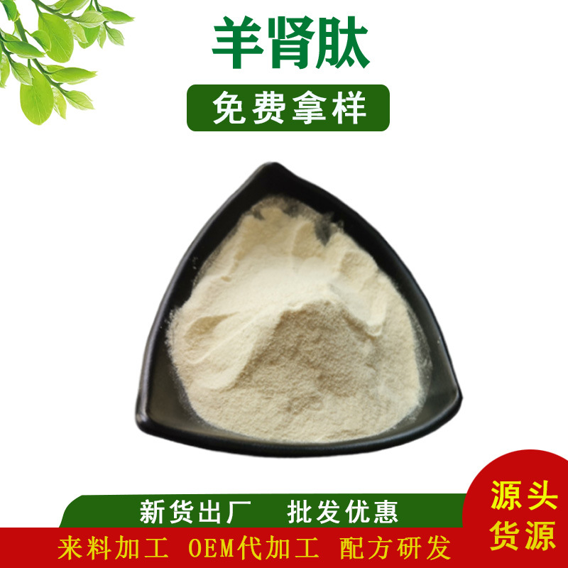 羊肾肽 羊肾小分子肽 肾肽粉   脱腥脱苦无异味 现货批发免费拿样