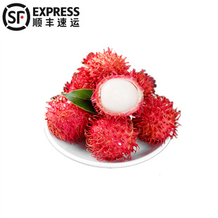 5 Catties of Sf Hainan Red Maodan Full Box Hair Litchi Season Fresh Mao Danguo выбирает всю коробку сейчас