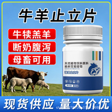 止立片养殖常备天然植物饲料原料杨树花粗提物厂家直销批发