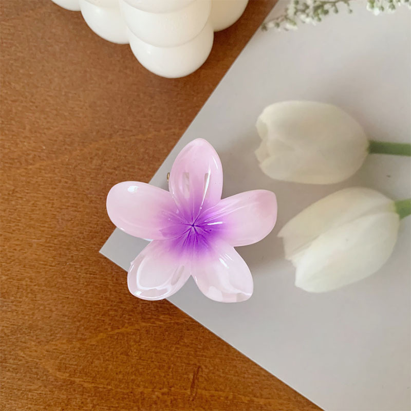 4CMの卵の花は国境を越えて熱売します。|undefined