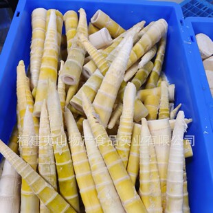�ك��r�S���S/���S/�_�h�S/�׹S/��S��հ��b���ƹS�K�S�����S��