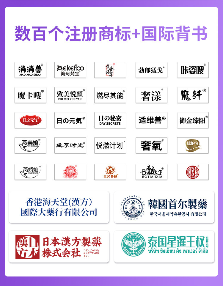 新版厂家介绍-紫色_06