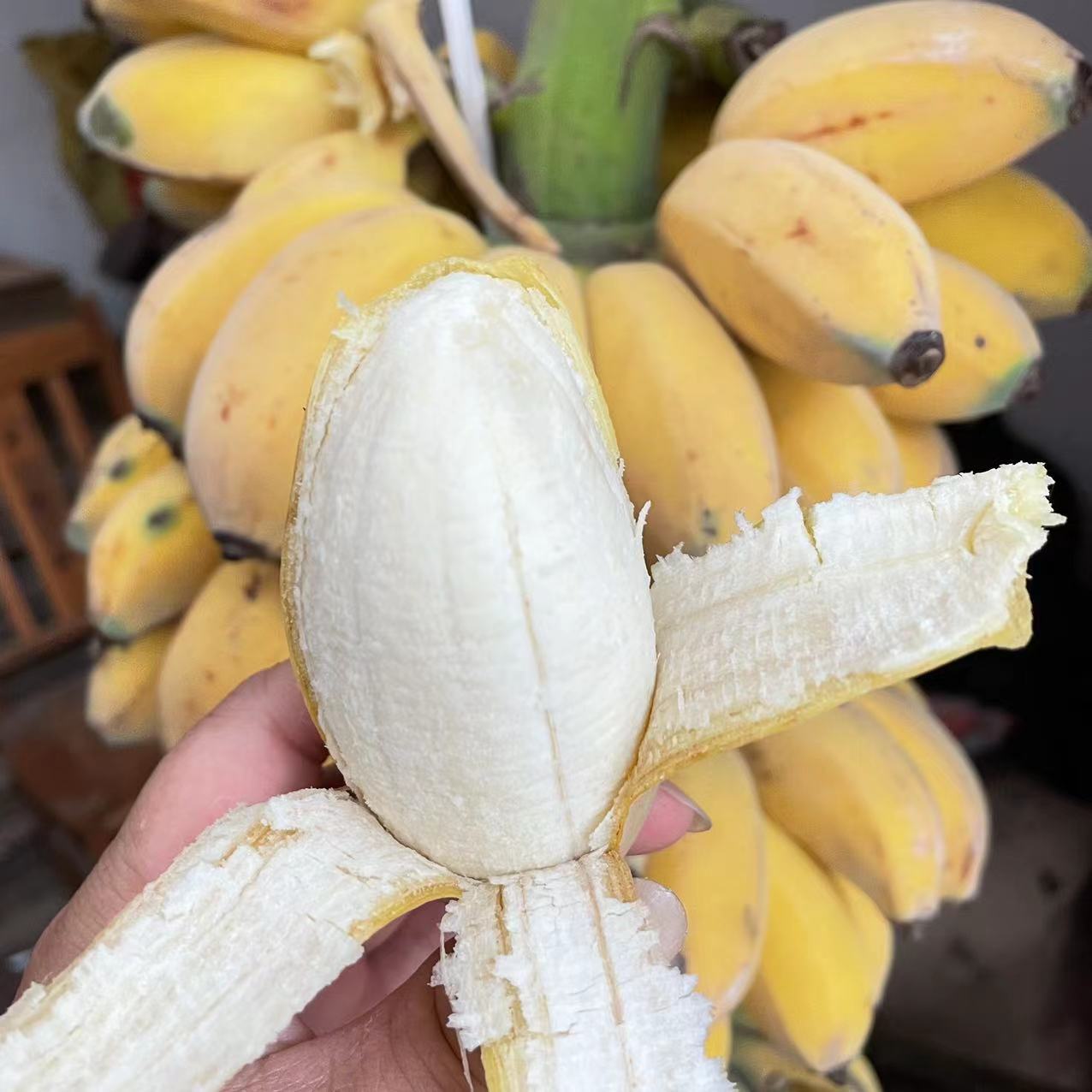 微信图片_20230512101805