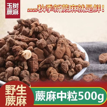 5�＾�ຣ�˅���ާ���Ҝ�5g�������������������Ұ��