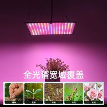 ȫ���VLED���Ӱ�ֲ���a���1000W���Ҷ����߲ˎ������L�������m��