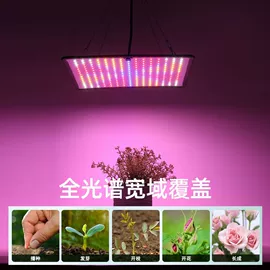 植物生长灯;LED集鱼灯;水族照明设备
