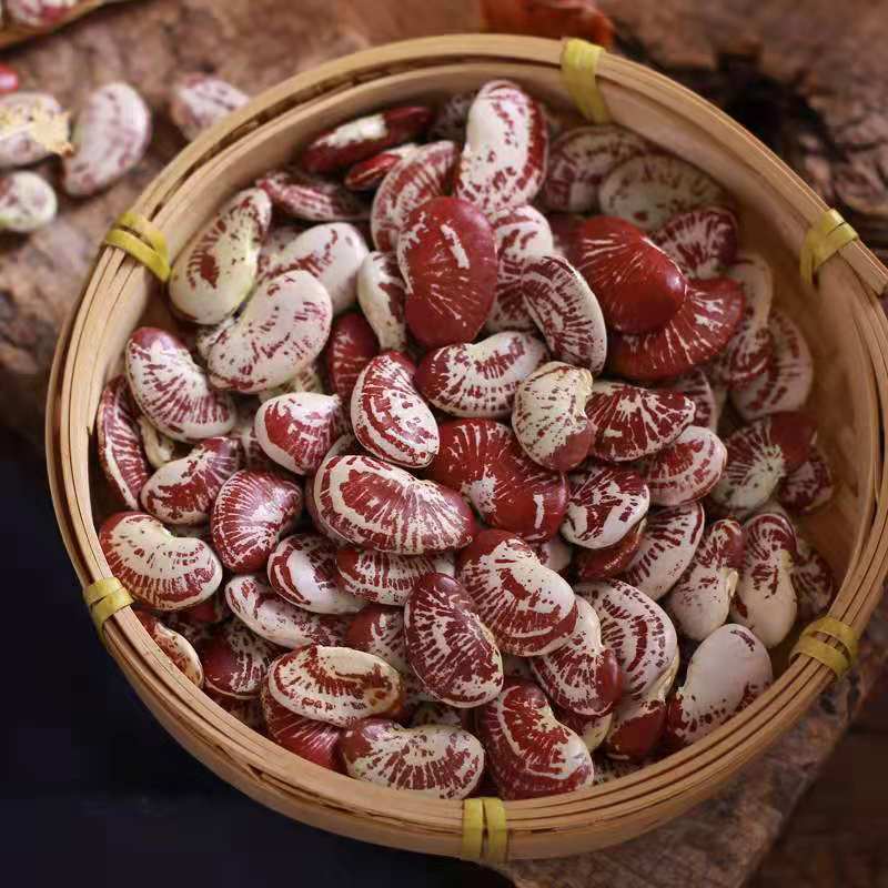 49f2e4b1308b750713924e627fd124