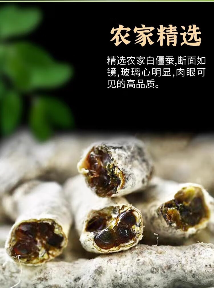 White Silkworm Jiang Can Powder 500g Dried Bombyx Batryticatus Traditional Chinese Herb in use