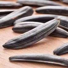 ���������½��R�������L����������������ζ���������˳�؛��ʳ