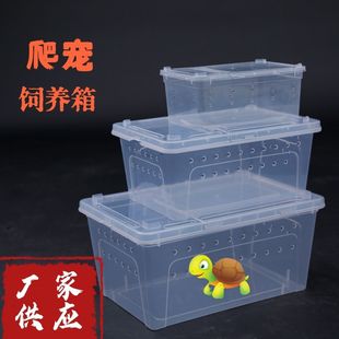 ���x��B��С����������������͸��͸���Q������B�д���С̖��̨