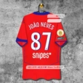 2526psg erke no. 87 + ligue 1