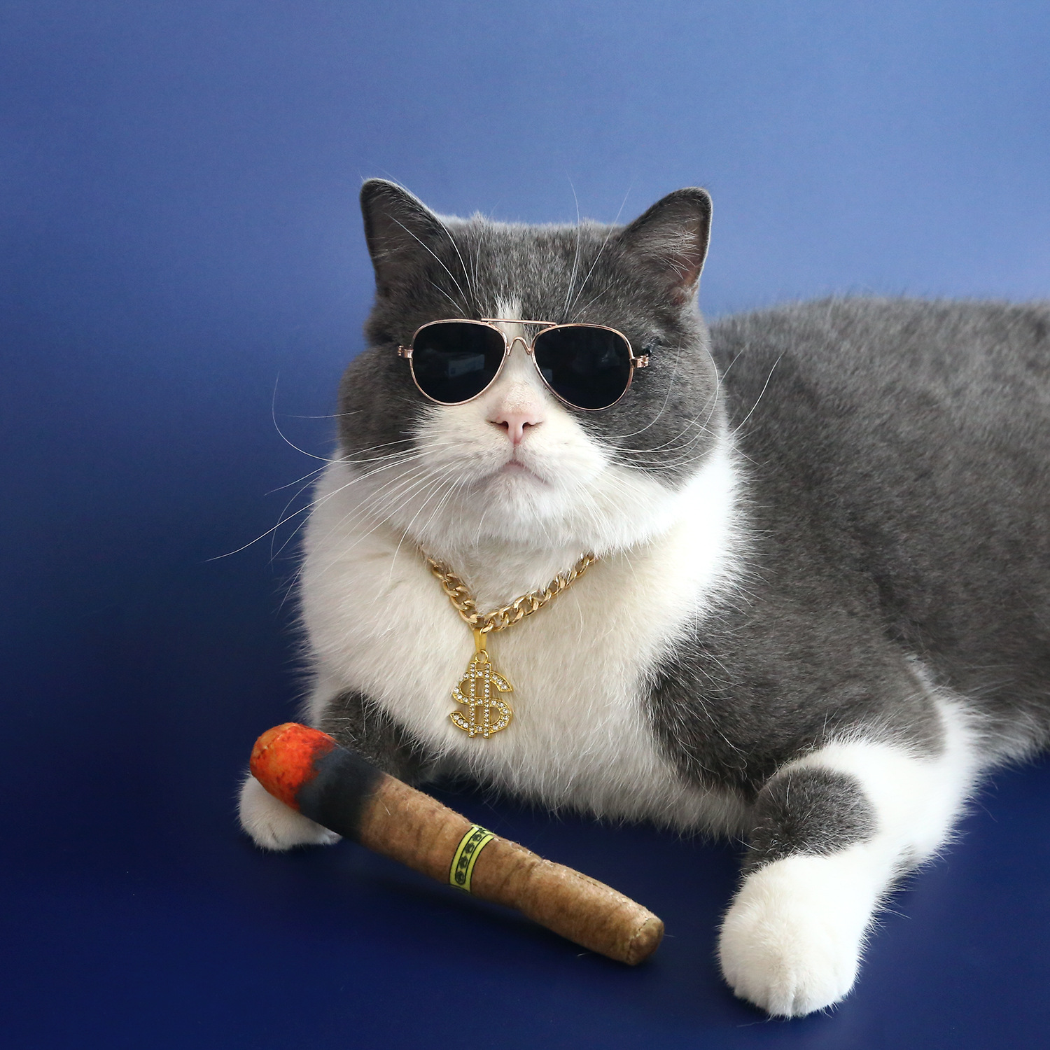 Comercio exterior mascotas dólar taladro colgante oro gafas de sol cigarro gato hierba juguetes emergentes gatos perros set hip hop