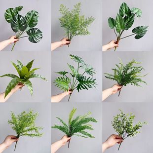 WGֲܛzާ˹~ B ~ֲָ~